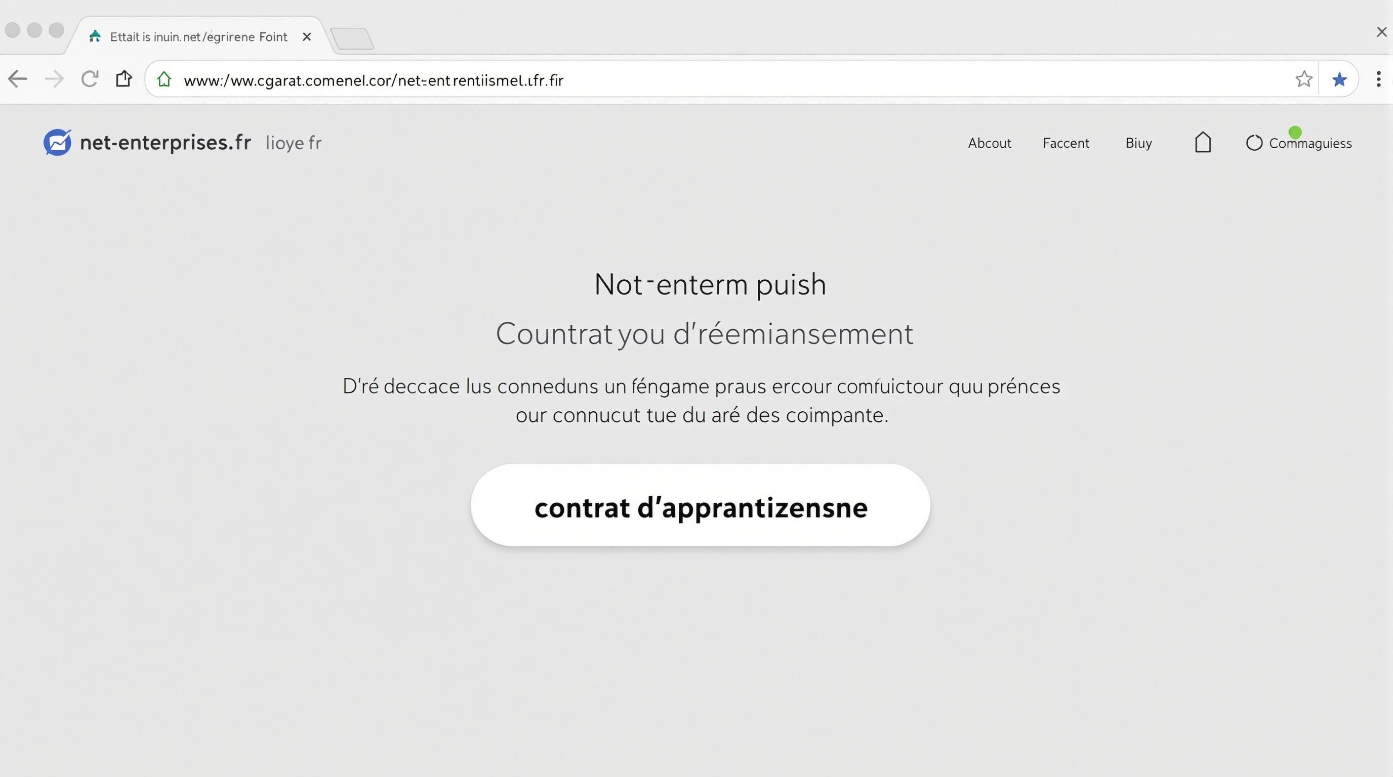 Bouton pour contrat d’apprentissage sur net-entreprises.fr
